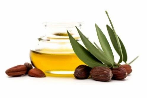 Jojoba Oil Golden (Cold Pressed) at Rs 1300/kilogram | Simmondsia Chinensis  Oil, जॉबोबा का तेल, जोजोबा ऑयल, जोजोबा का तेल - Kanth Saanvi Essentials,  New Delhi | ID: 21292385255